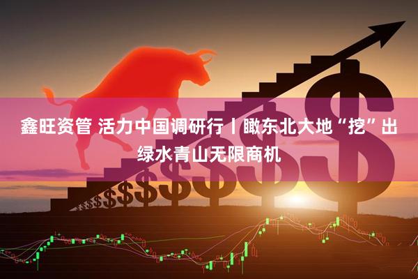 鑫旺资管 活力中国调研行丨瞰东北大地“挖”出绿水青山无限商机