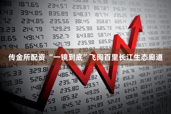 传金所配资 “一镜到底”飞阅百里长江生态廊道