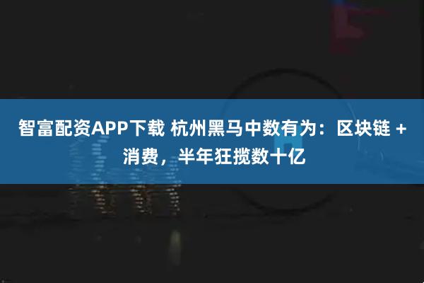 智富配资APP下载 杭州黑马中数有为：区块链 + 消费，半年狂揽数十亿
