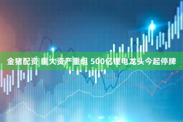 金猪配资 重大资产重组 500亿锂电龙头今起停牌