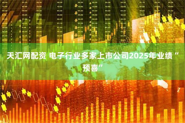 天汇网配资 电子行业多家上市公司2025年业绩“预喜”